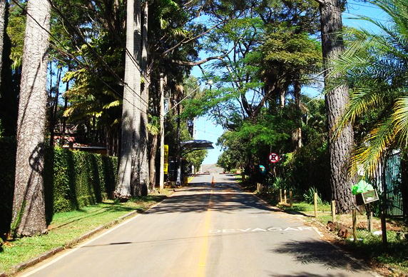 del rey 4 Uma casa com área verde faz toda diferença na sua qualidade de vida