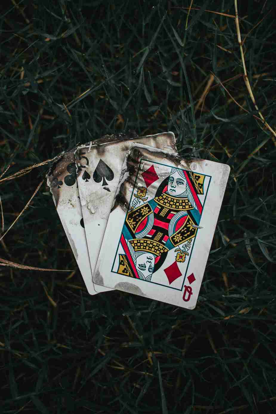 Haz Casino : Guide Complet des Bonus et Promotions Exclusives